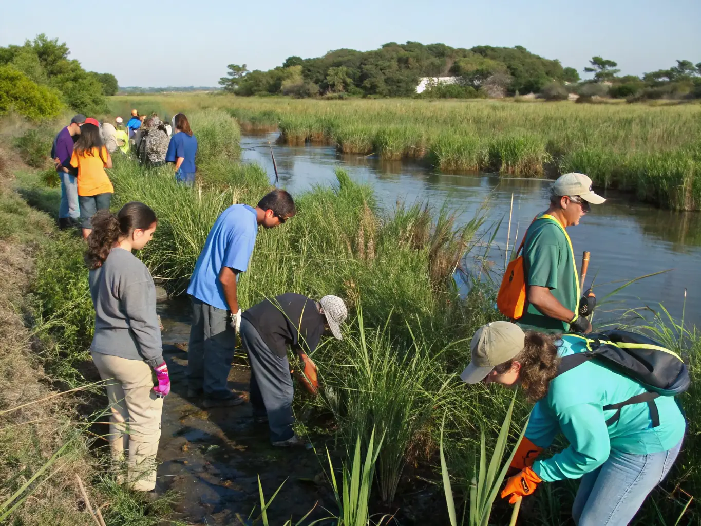 A photograph of club members working together to remove invasive plant species from a local habitat, demonstrating their commitment to controlling nuisance species.